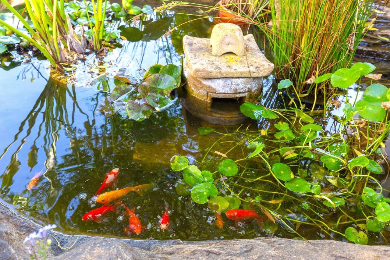 Le Mahi Guest House 兰格班 外观 照片